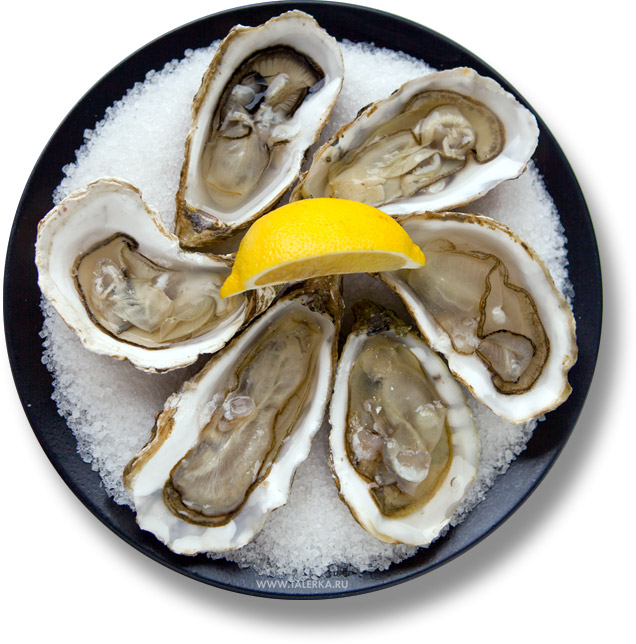 oysters2.jpg (117.95 Kb)