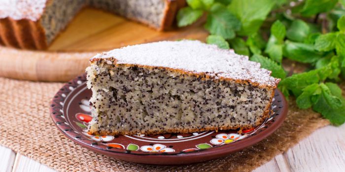 ������ �� �������